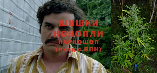 прущая мука Алзамай