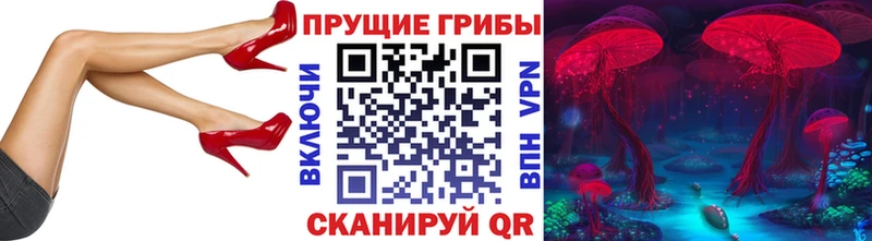 Псилоцибиновые грибы ЛСД  Заволжск 